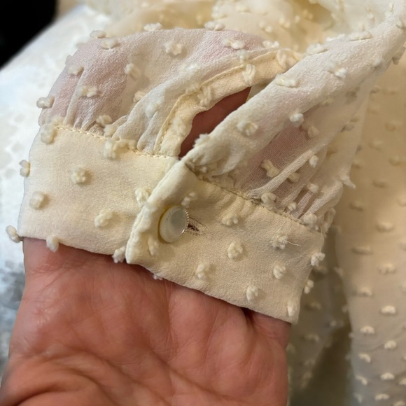 J. Crew Ivory Dotted Swiss Semi-Sheer Long Sleeve Top, Size 6 - Picture 6 of 9